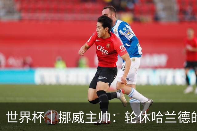 世界杯｜挪威主帅：轮休哈兰德的决定没问题