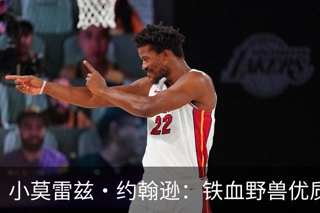 小莫雷兹·约翰逊：铁血野兽优质冠军拼图 开发三分顺位直逼乐透